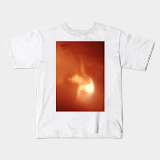 Ballerina in the Mist Kids T-Shirt